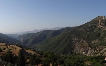 Koustenis Village Dimitsana Exteriör bild