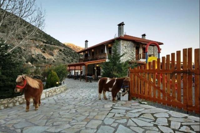 Koustenis Village Dimitsana Exteriör bild